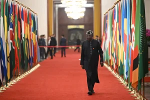 Read more about the article From Party Loyalty to Democratic Trust: Nigeria and the Global Crisis of Political Allegiance – By Mazi. Godson. Azu