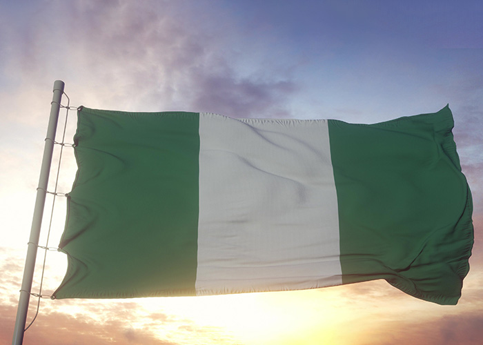 You are currently viewing The Nigerian Diaspora as the Fifth Realm of Governance, and Its Critical Role in Nation-Building